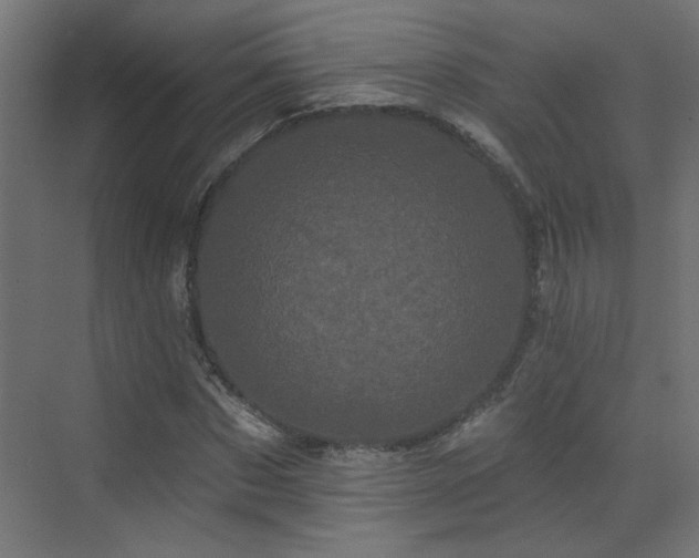 X0000073540873200607311350