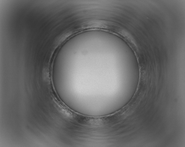 X0000073540882200607311350