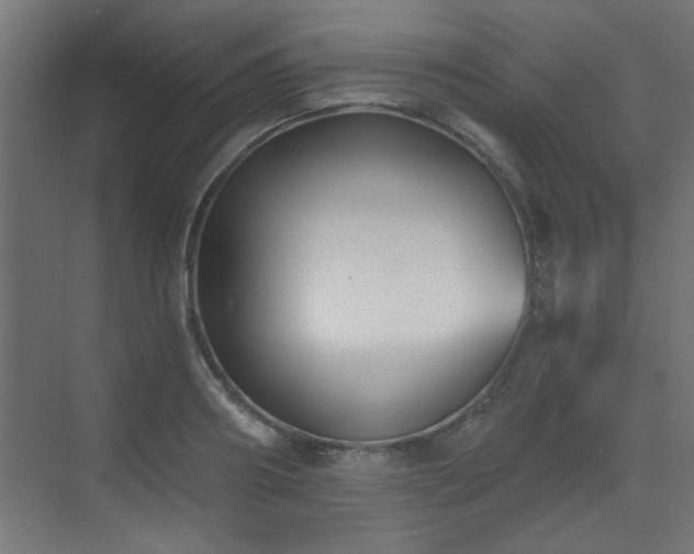 X0000073540890200607311349