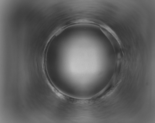 X0000073540909200607311349