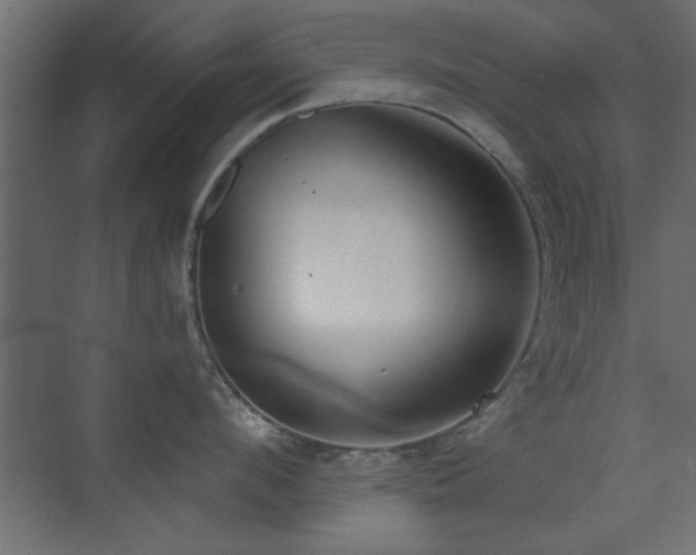 X0000073540912200607311349