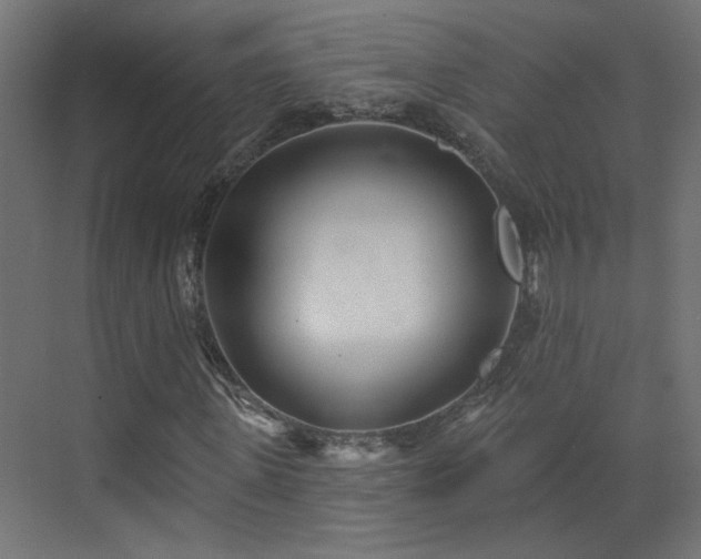 X0000073540915200607311348