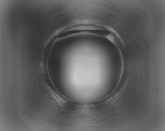 X0000073540922200607311348