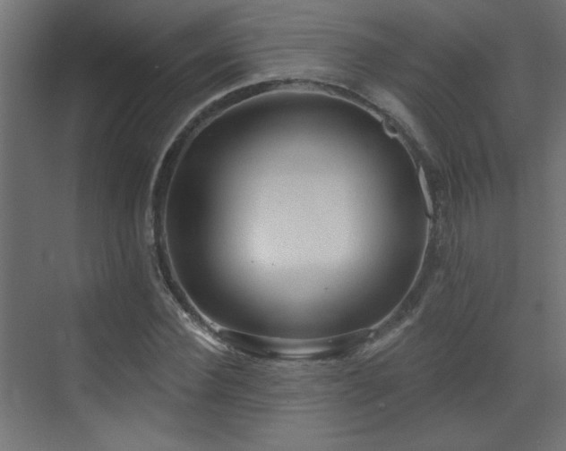 X0000073540924200607311348