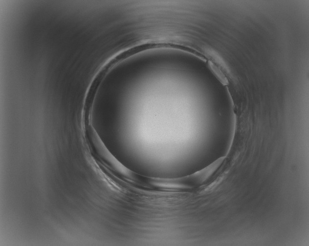X0000073540932200607311349
