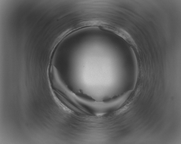X0000073540946200607311349