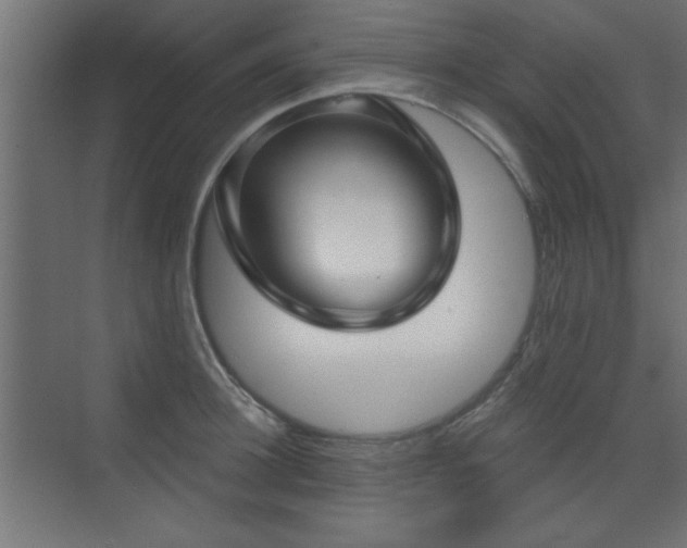 X0000073540948200607311349