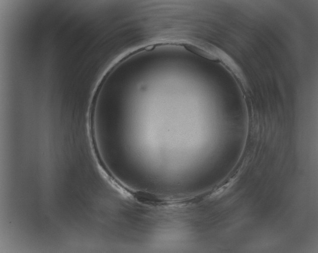 X0000073540958200607311349