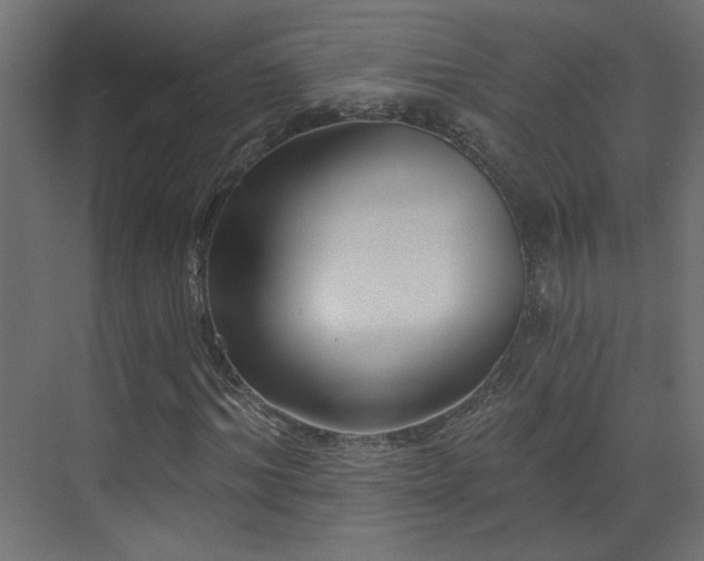 X0000073540964200607311348