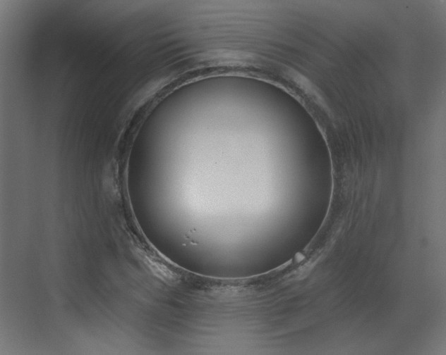 X0000073540970200607311348