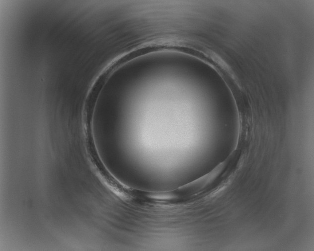 X0000073540981200607311348