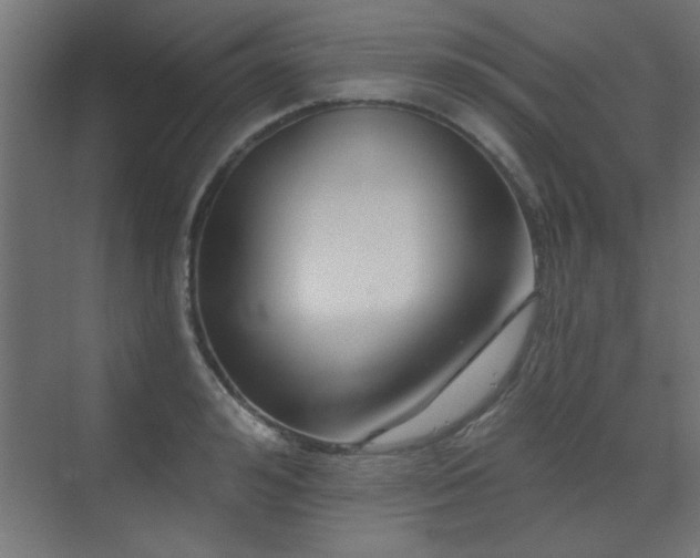 X0000073540992200607311348