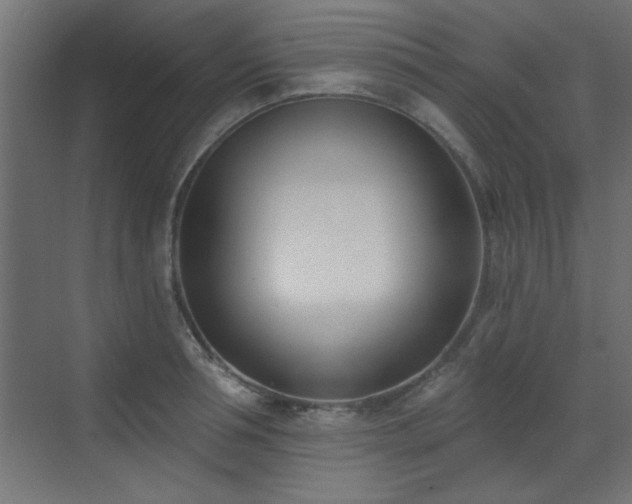 X0000073540994200607311348