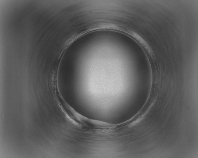 X0000073541001200607311347