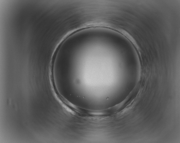 X0000073541005200607311347