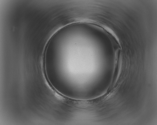 X0000073541007200607311347