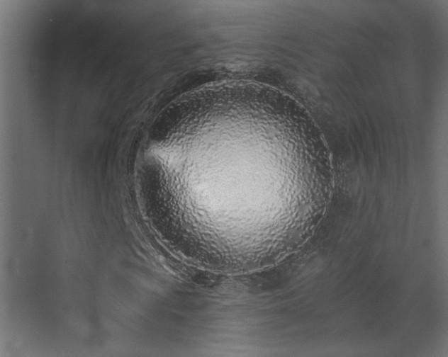 X0000073541009200607311347