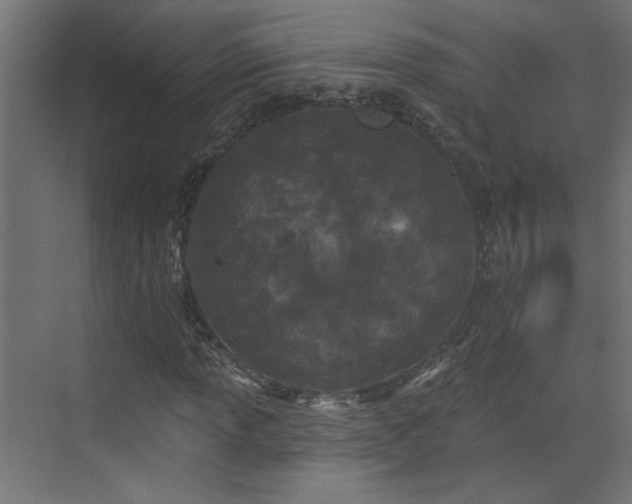 X0000073541013200607311347