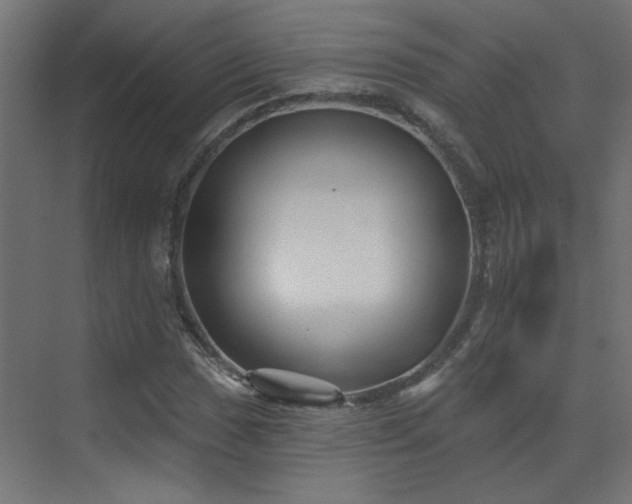 X0000073541017200607311347