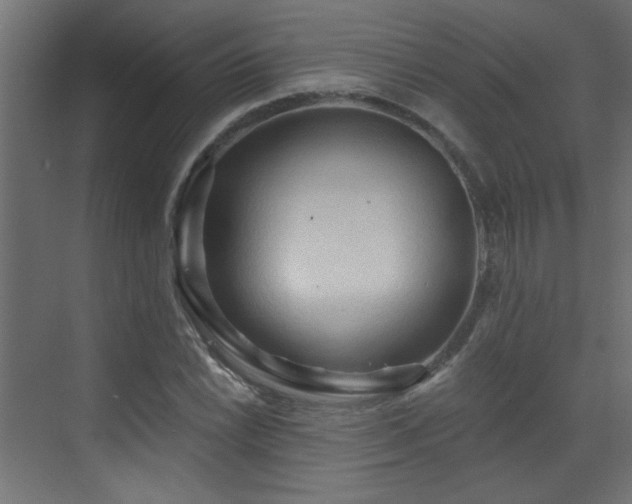 X0000073541022200607311347