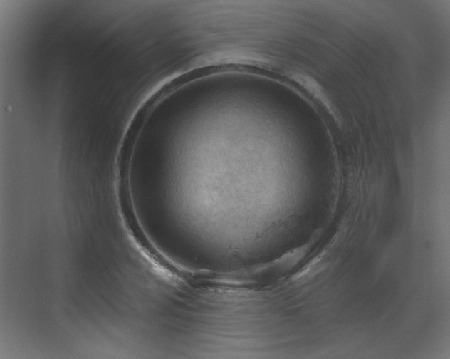 X0000073541024200607311347