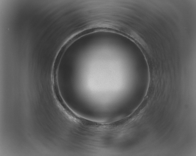X0000073541028200607311347