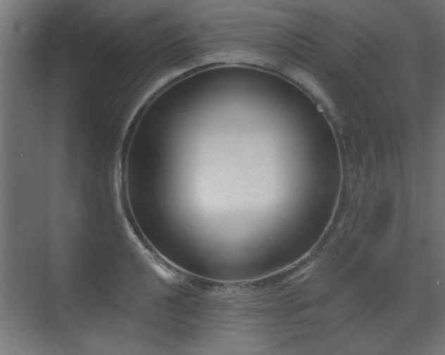 X0000073541040200607311347