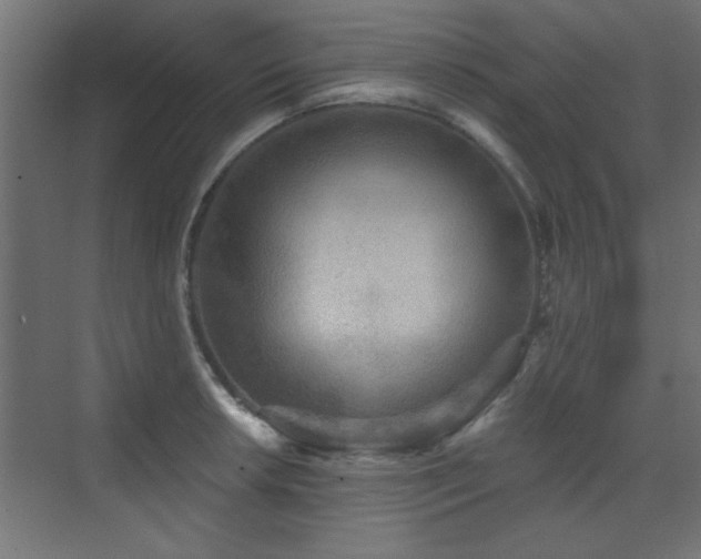 X0000073541042200607311347