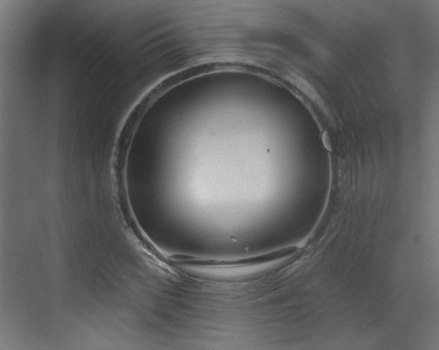 X0000073541068200607311346