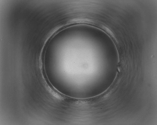 X0000073541082200607311346