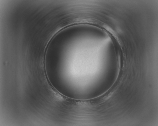 X0000073541089200607311346