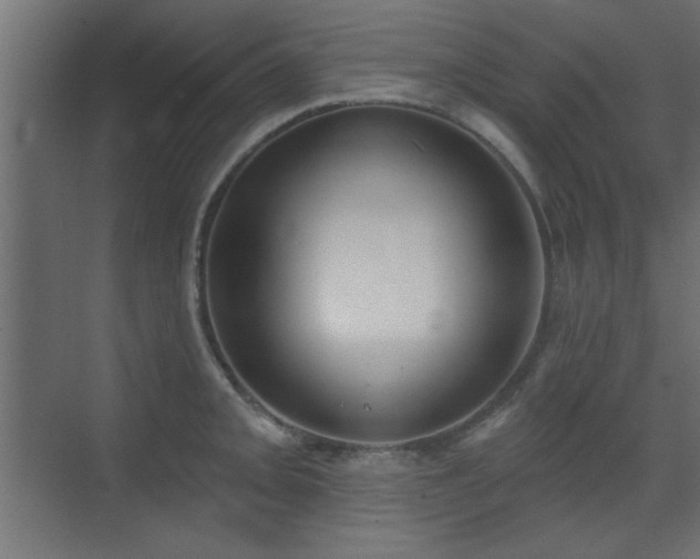 X0000073541093200607311346