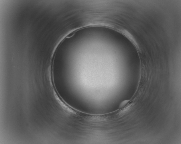 X0000073541100200607311346