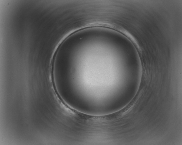 X0000073541102200607311346