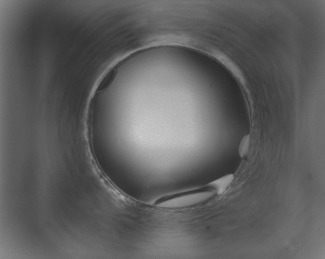 X0000073541104200607311346