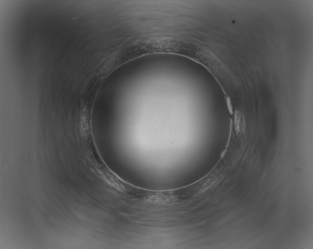X0000073541107200607311345