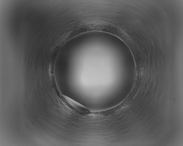 X0000073541108200607311345