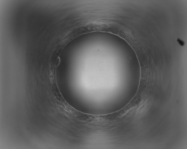 X0000073541109200607311345