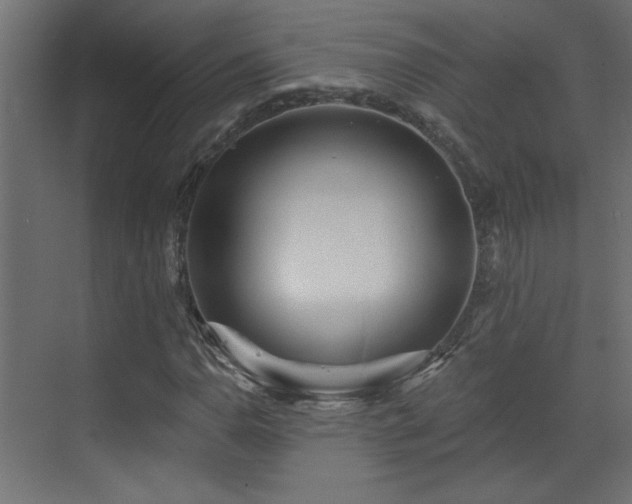 X0000073541110200607311345