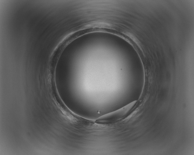 X0000073541115200607311345
