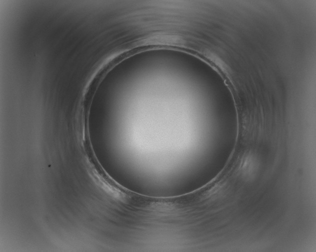 X0000073541123200607311345