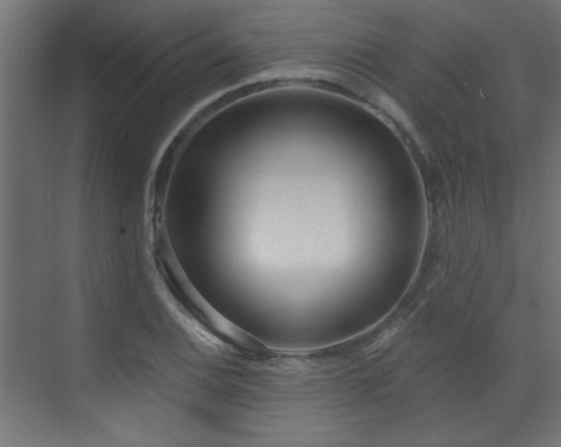 X0000073541124200607311345