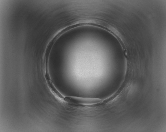 X0000073541127200607311345