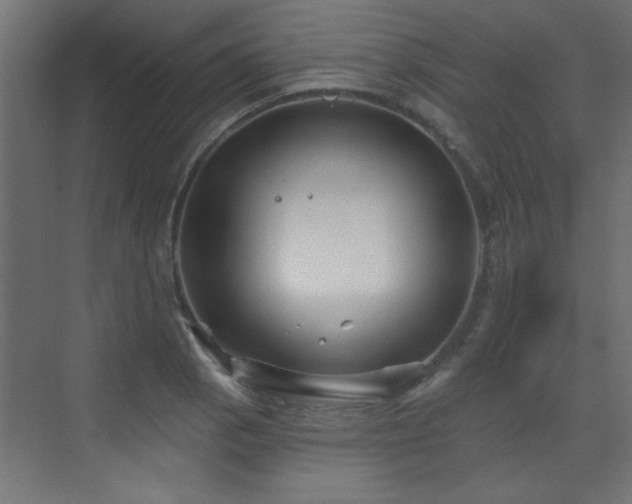 X0000073541129200607311345