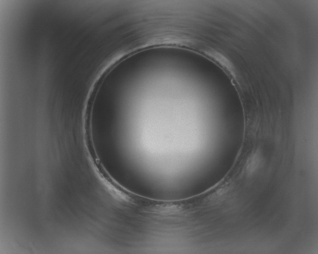 X0000073541135200607311345