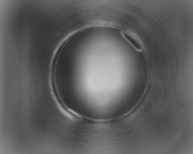 X0000073541136200607311345