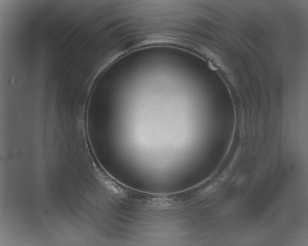 X0000073541137200607311345