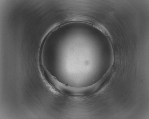 X0000073541138200607311346
