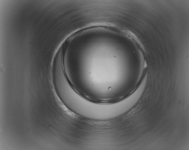 X0000073541140200607311346