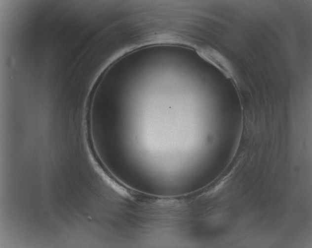 X0000073541142200607311346